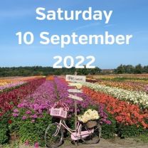 Visit dahlia fields 10 September 2022
