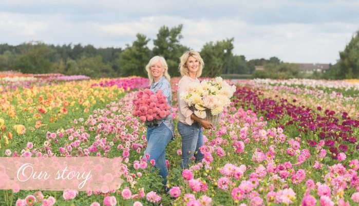 Our Story - Marlies & Linda - FAM Flower Farm