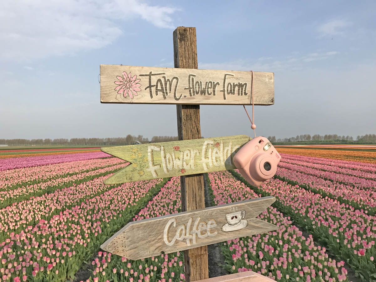 The best places to stay in Lisse