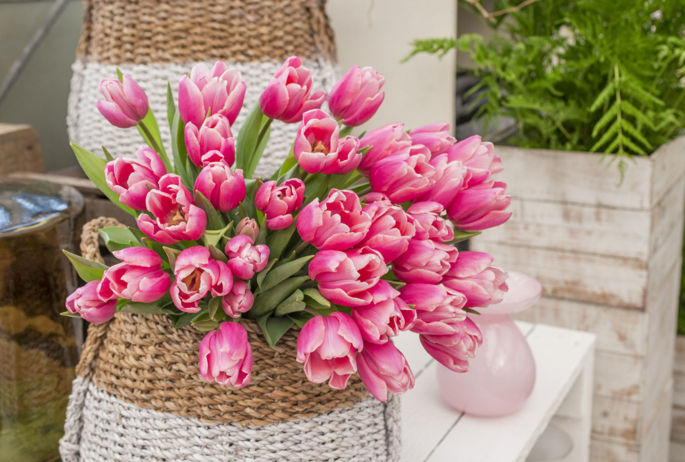 What can I do to prolong the joy of flowers in my house?