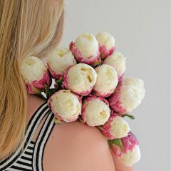 Tulip Ice Cream